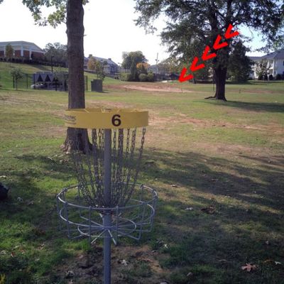 #6 basket to tee