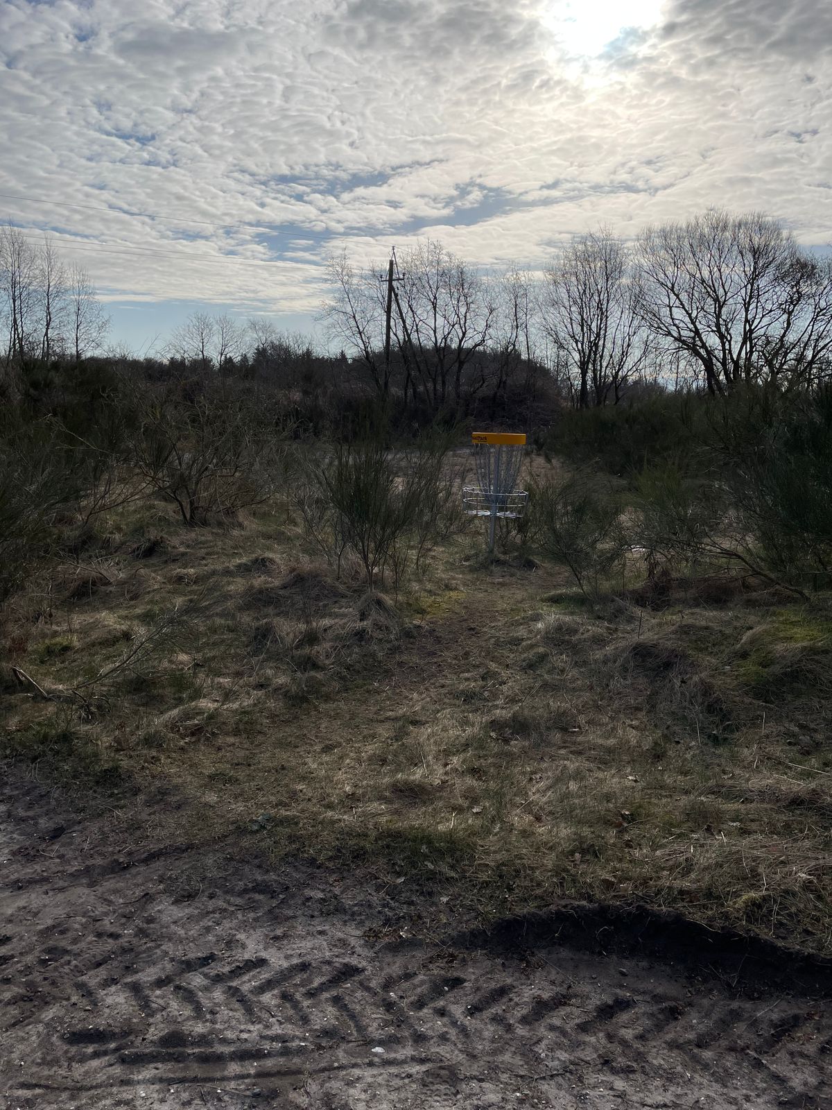 Basket Hole 6