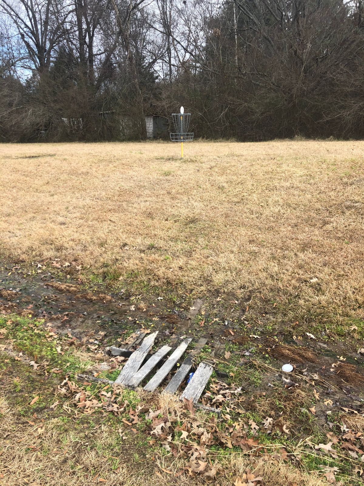 Hole 5 foot bridge needs repair/replace