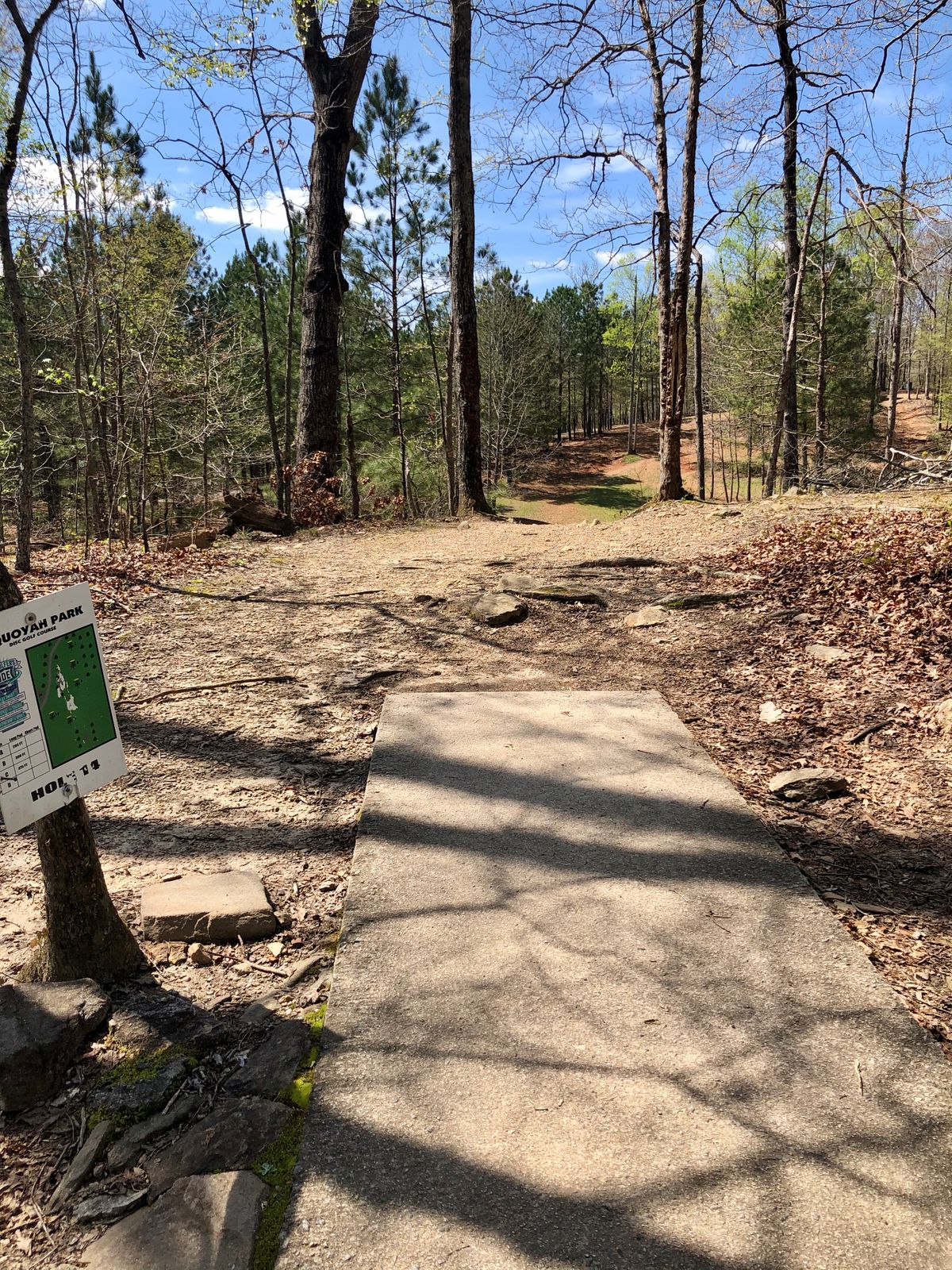 Tee 14