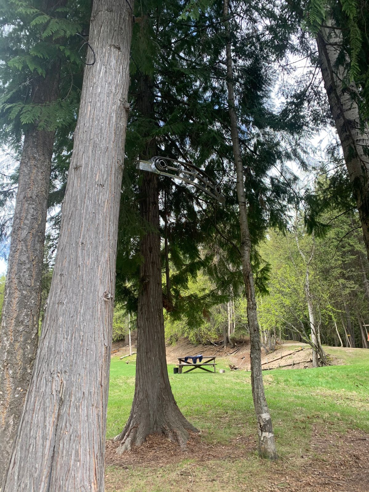 Target is a bumper hanging way up there in that cluster of trees