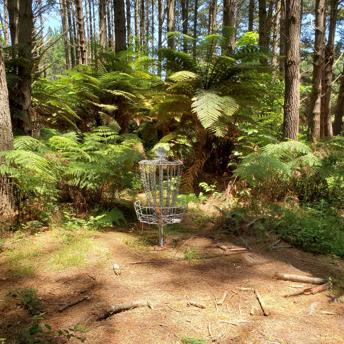 Hole 14's green