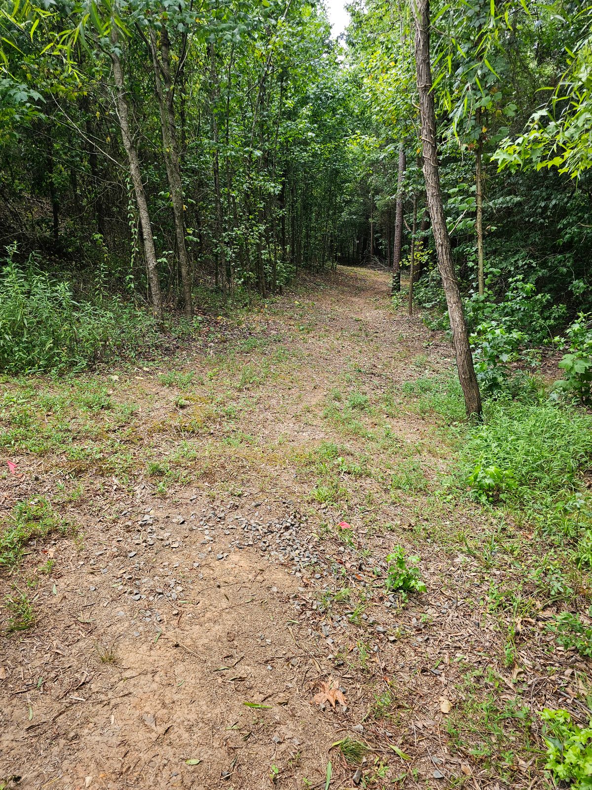 Hole 2