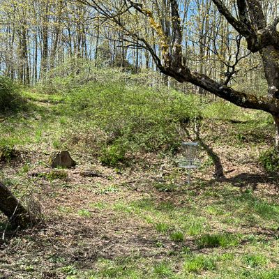 Hole 3, May 2024