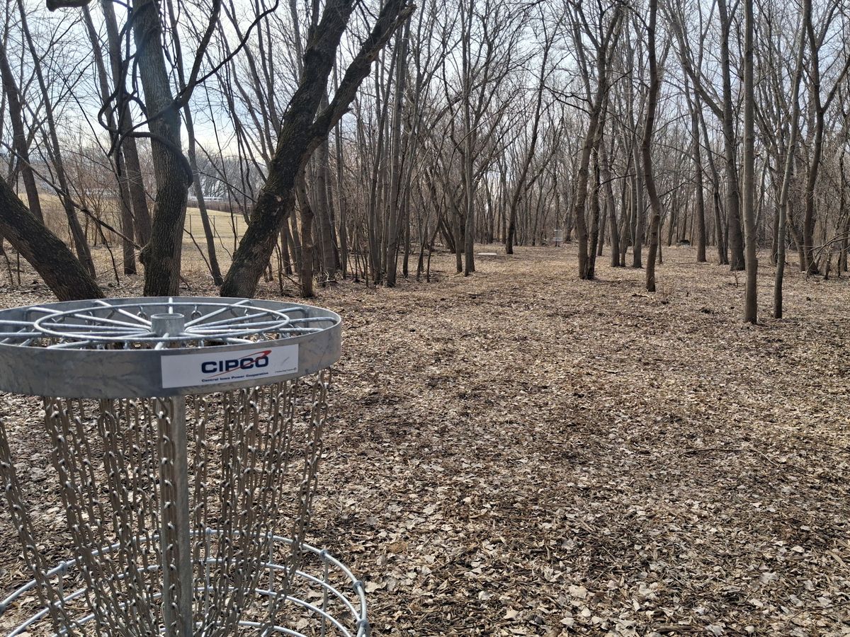 Hole 7 basket