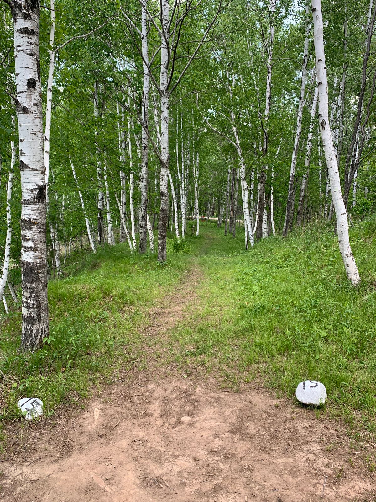 View from hole 15 teepad.