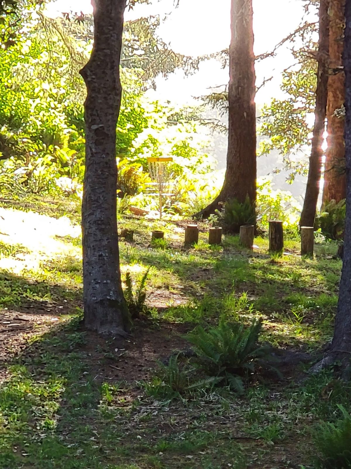 Old hole 9
