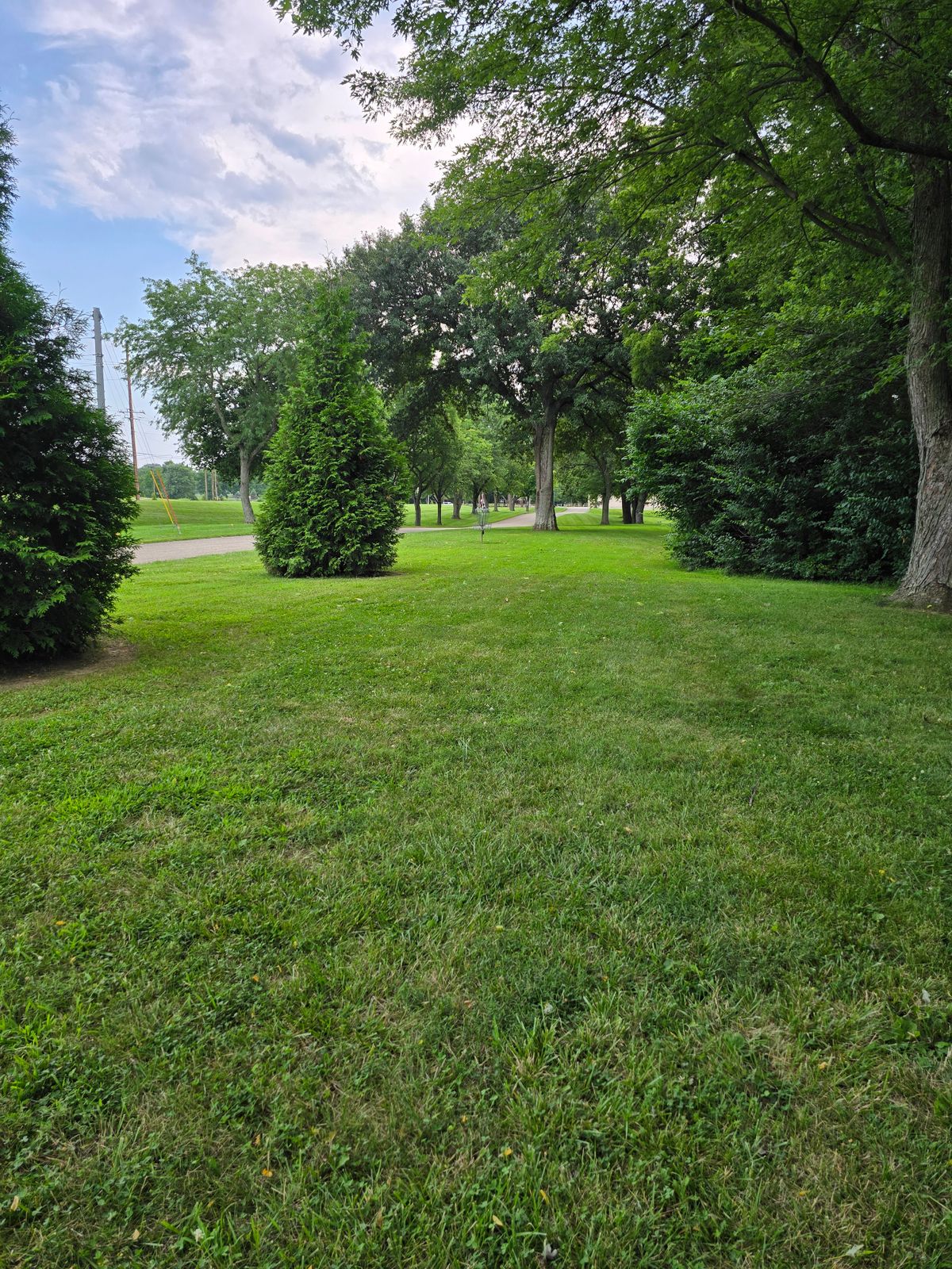 Hole 5 top of hill upshot