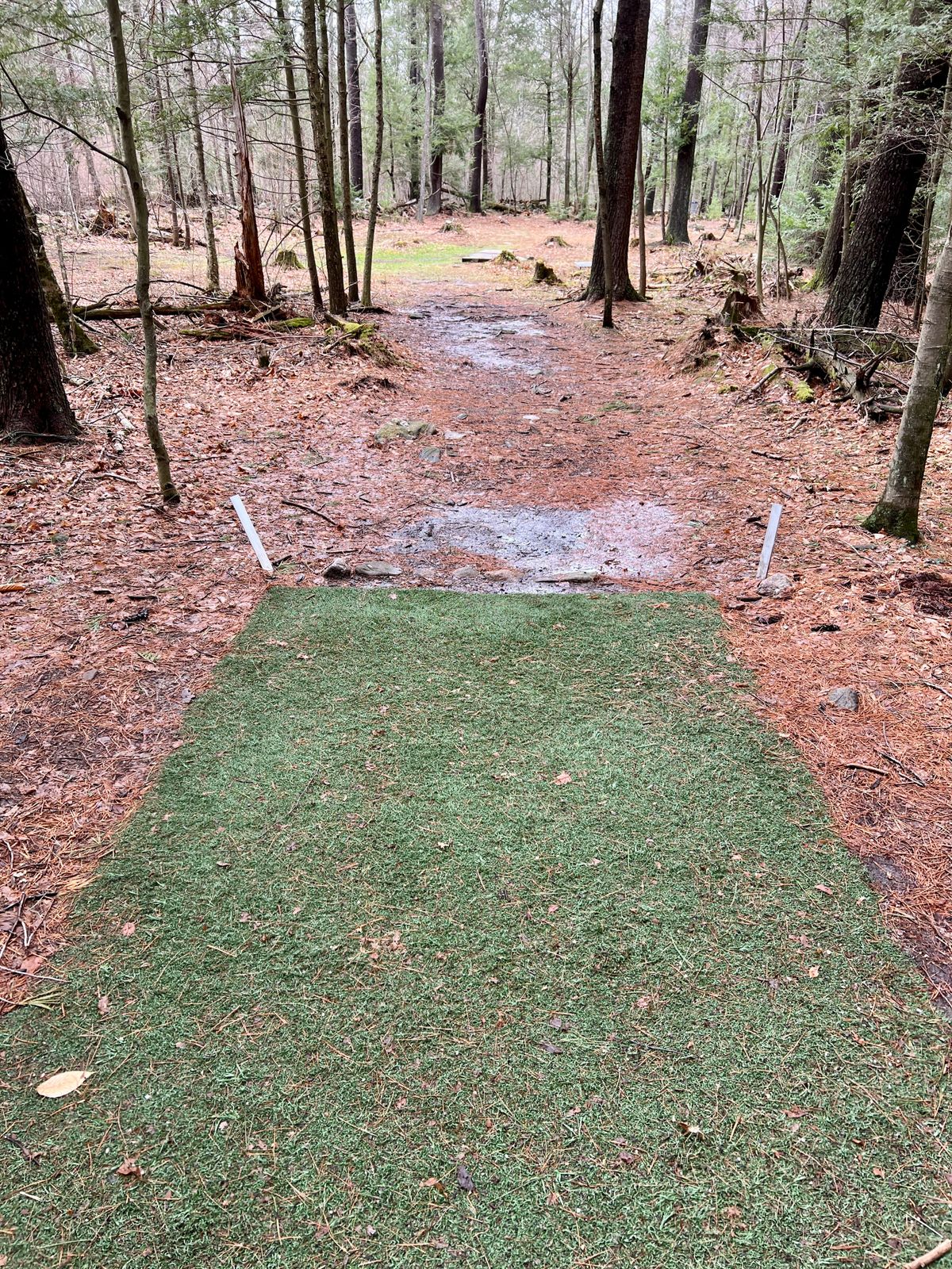Hole #7 Tee Box