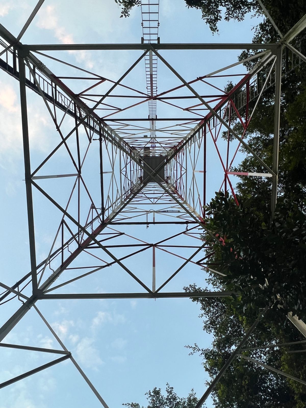 The view directly above the basket for 18. The basked is centered between the four legs of this transmission tower.