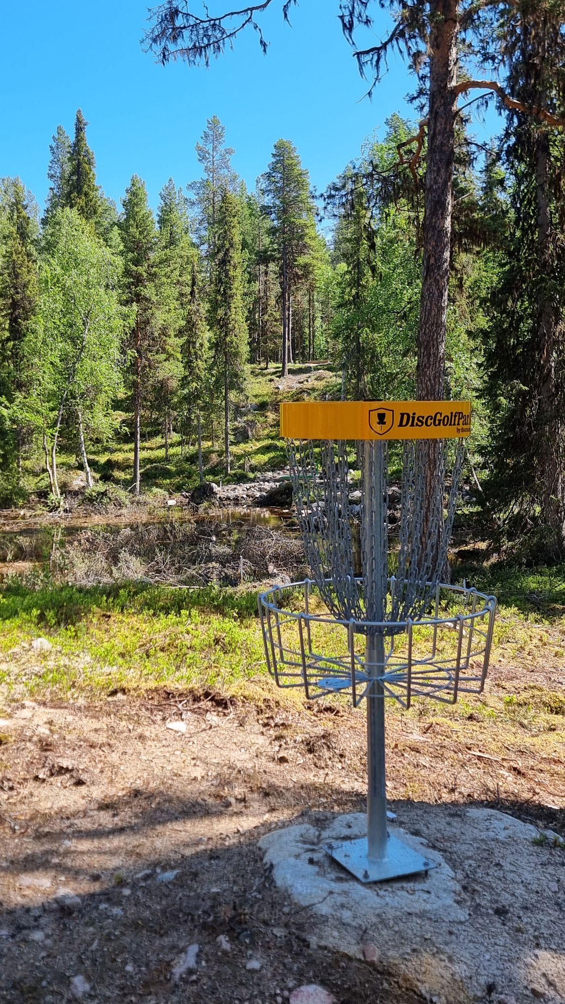 Vy från korg 14 upp mot tee.