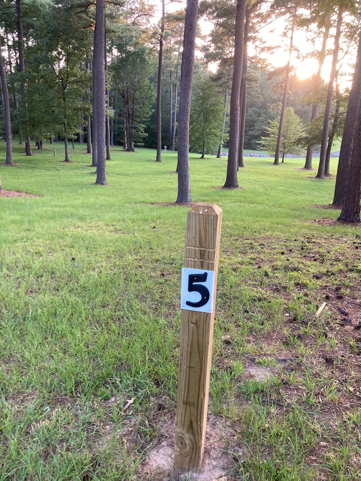 Hole 5- multiple lanes to use as options.