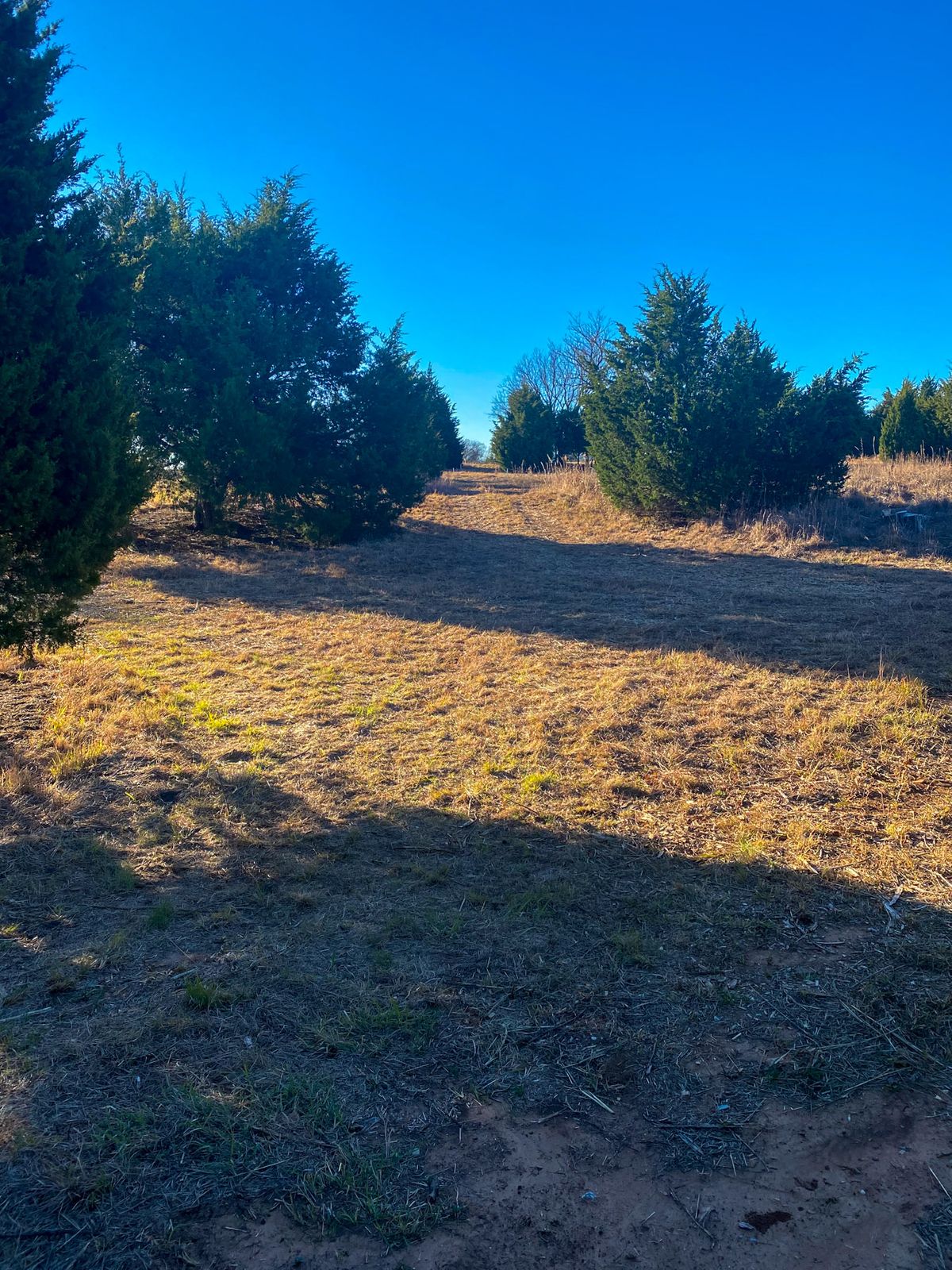 #8 Forward Tee