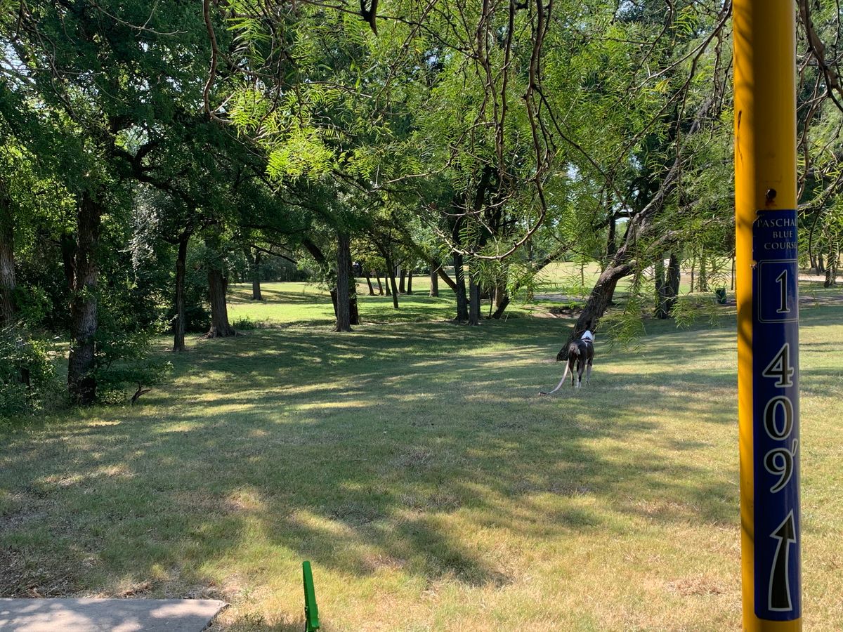 Hole 1. Blue Tee. 409 Feet.