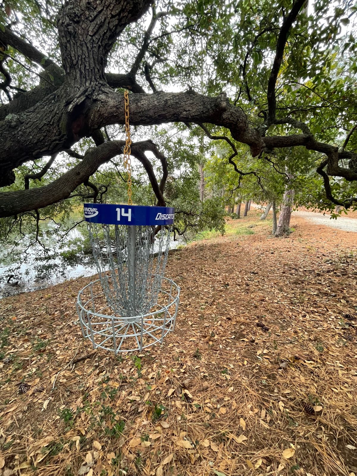 Hole 14 hanging basket