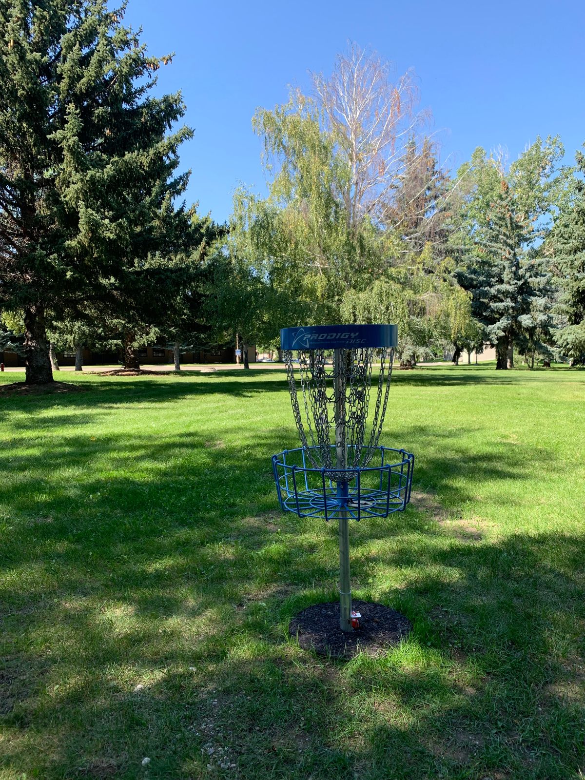 Hole 2 basket