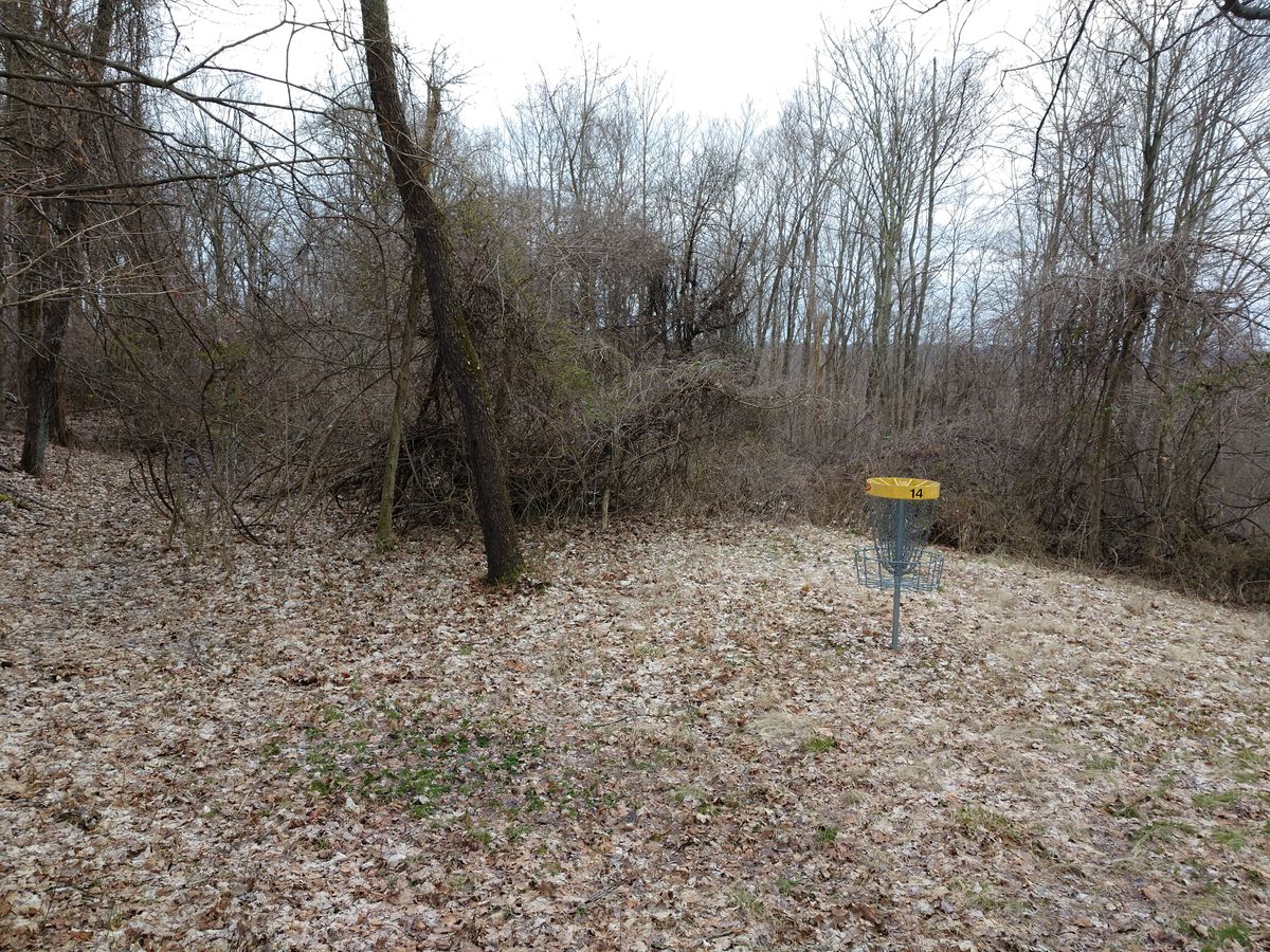Hole 14 basket