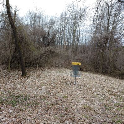 Hole 14 basket