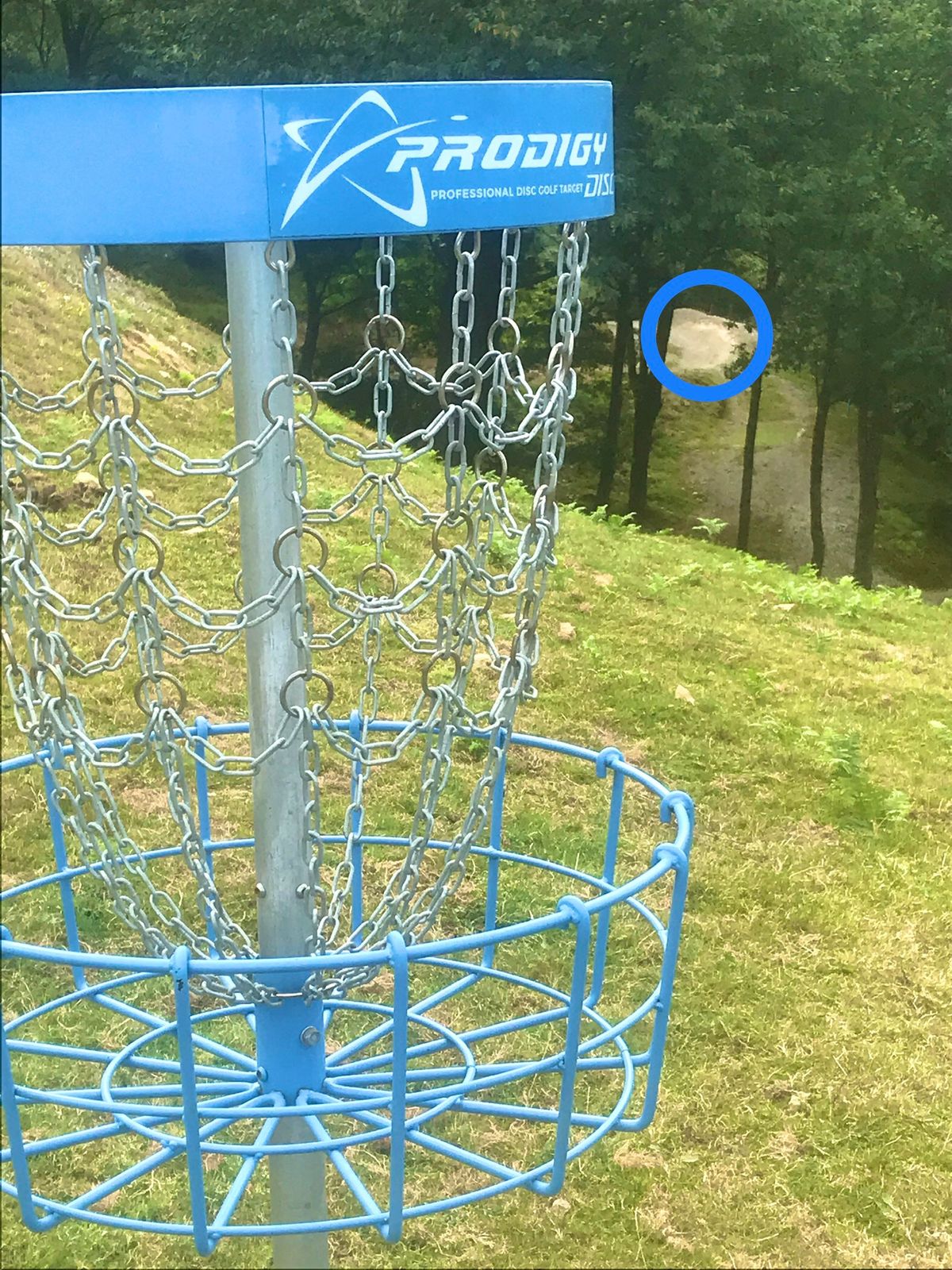 #11 basket - tee area below, circled in blue