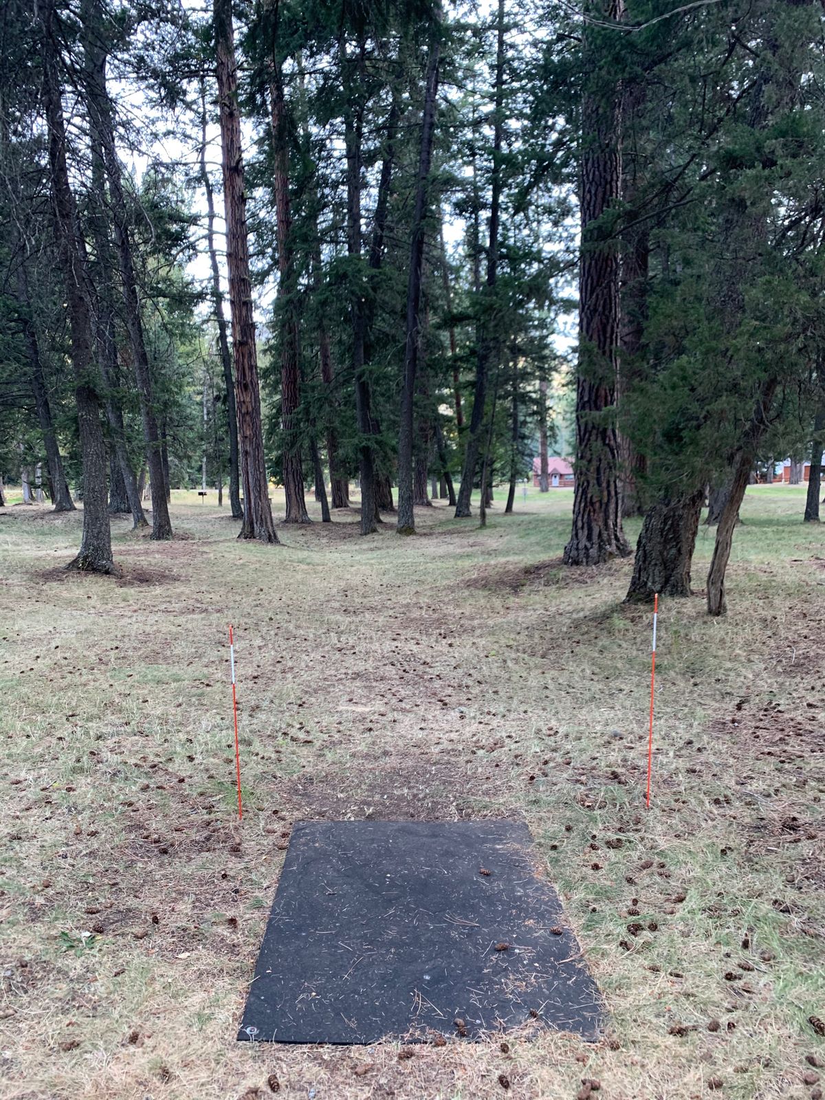 Hole #9