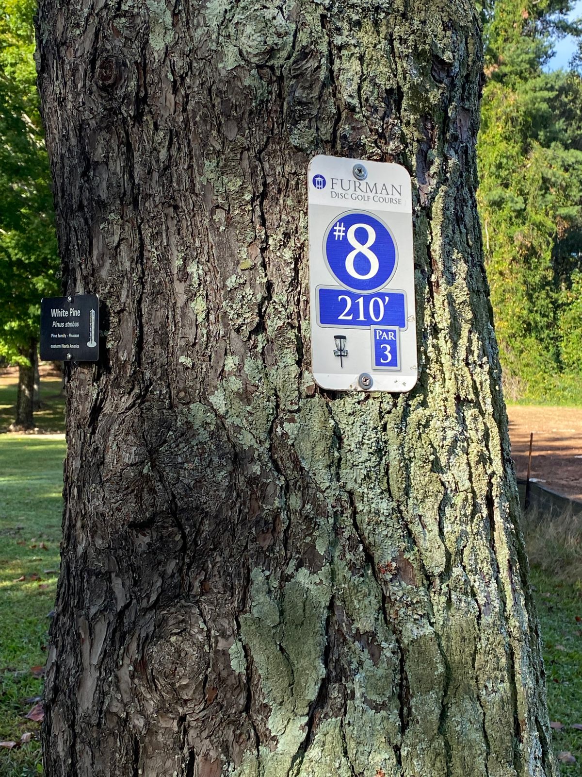 This is one of the few clearly marked