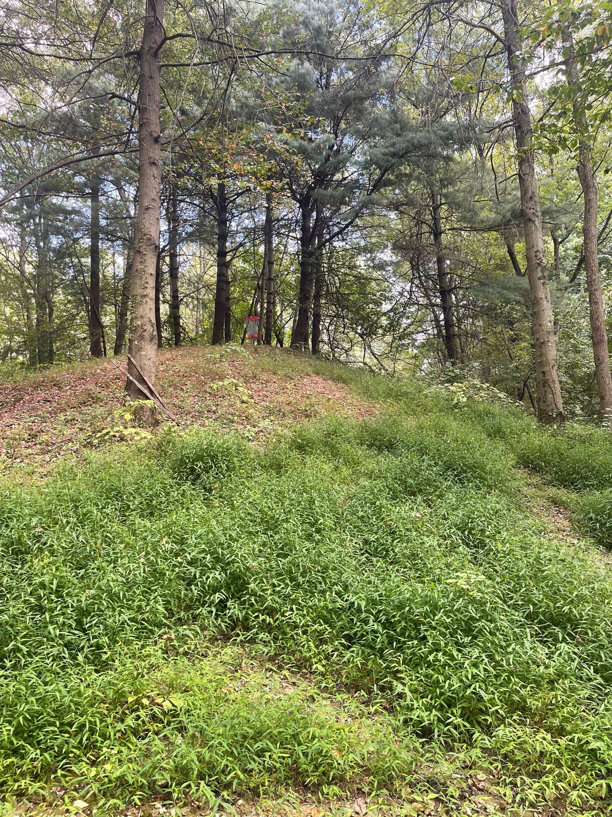 Hole 3 hill top green.