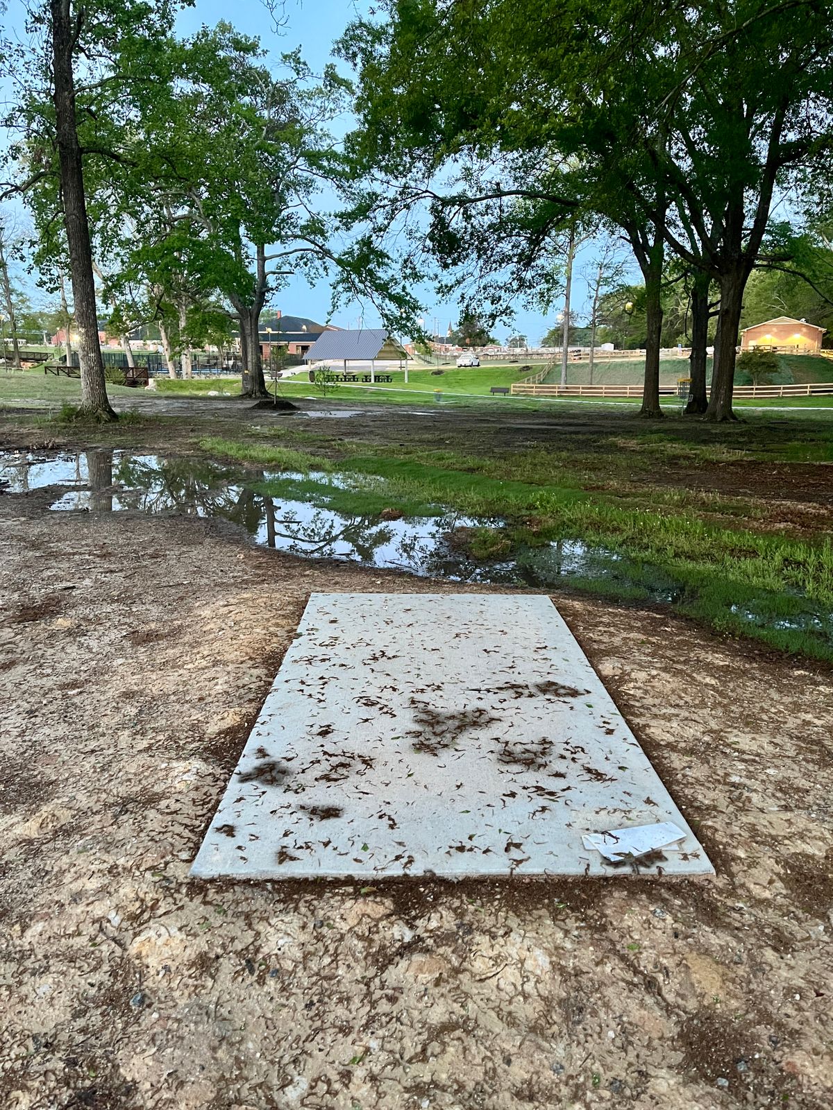 Hole 5 tee