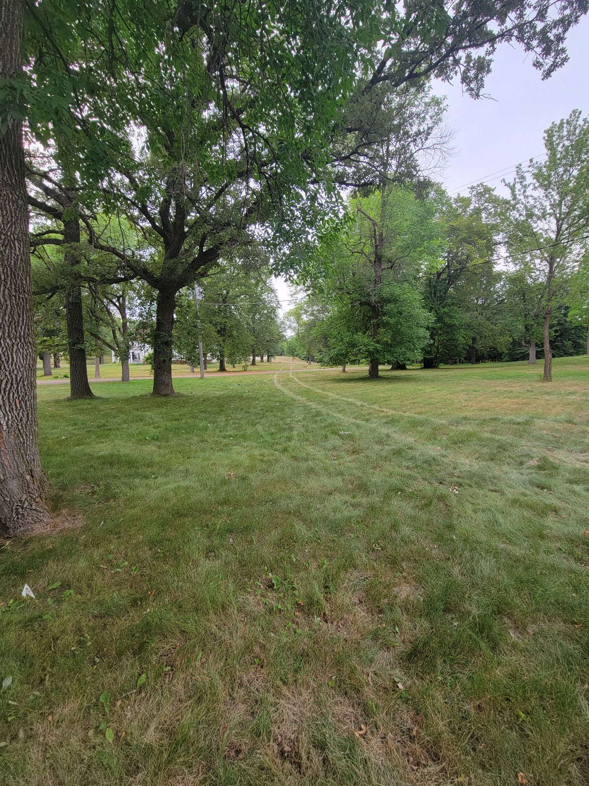 Hole #5