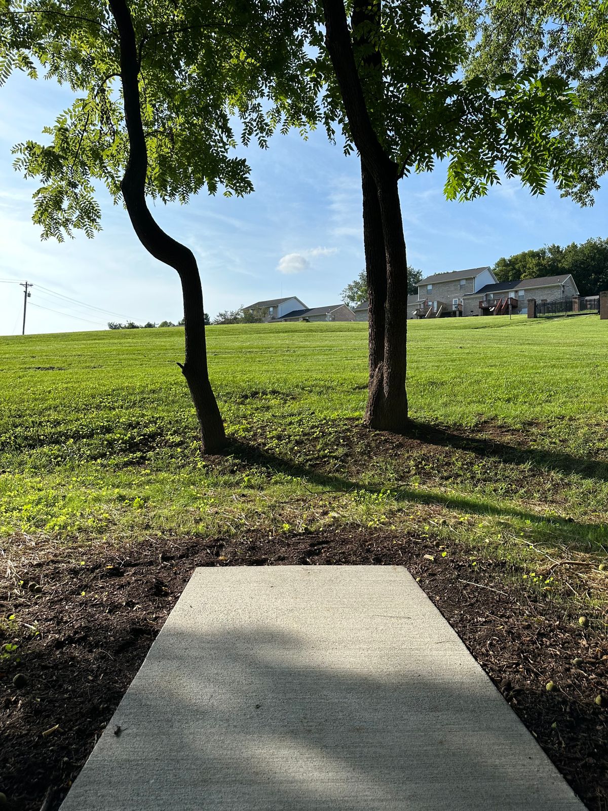 Hole 7 tee