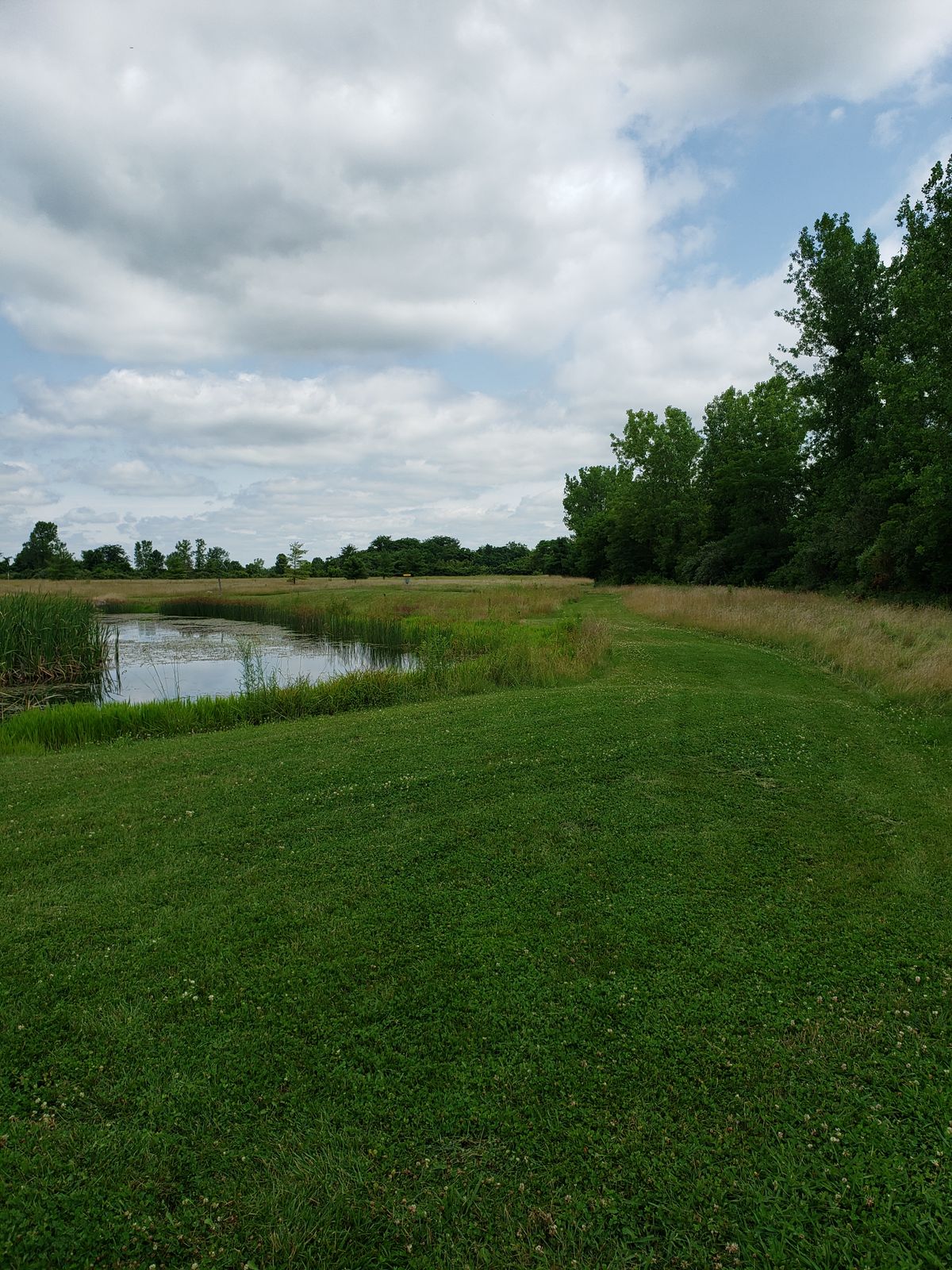 Looking from #14 Tee-Pad back down path to #13 Green.