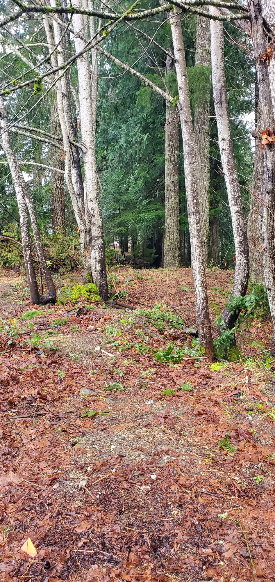 Hole 5 A tee
