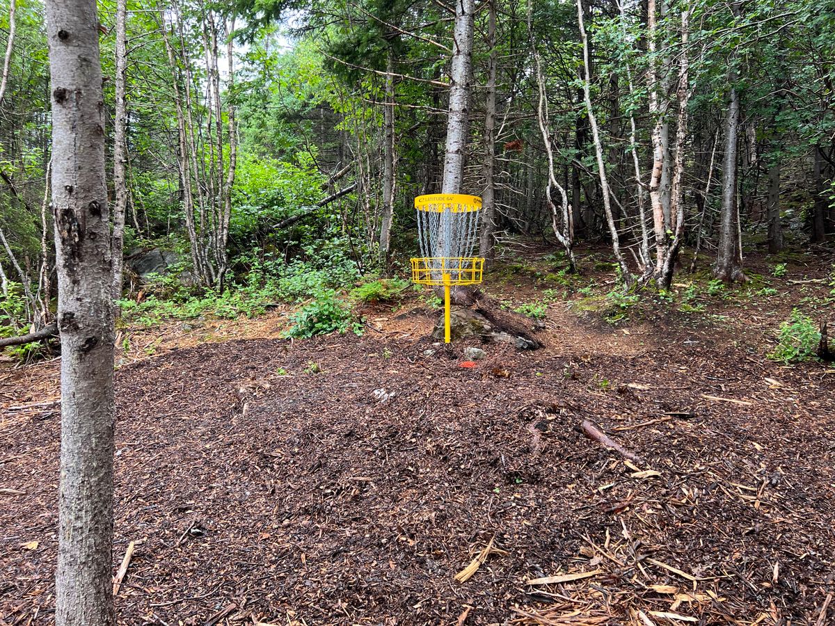 Hole 4 Basket