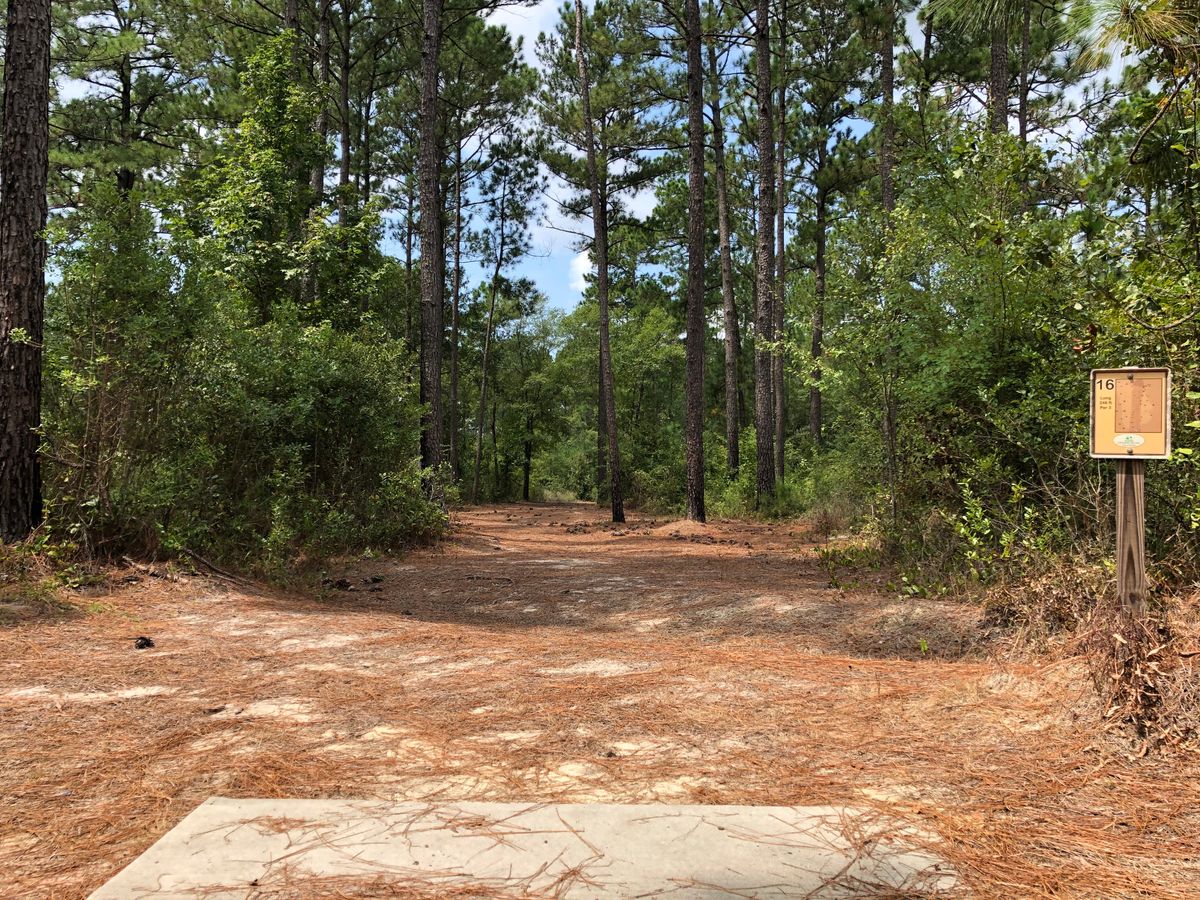 Hole 16 - Gold/Blue