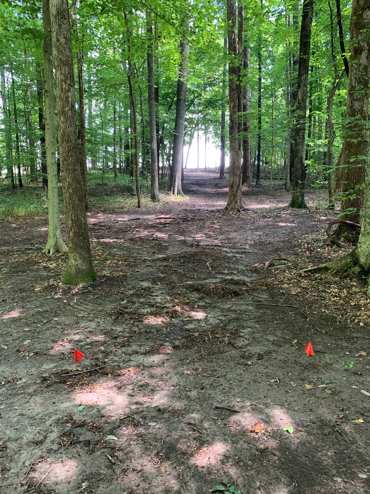 Hole 7 Red Tee. 