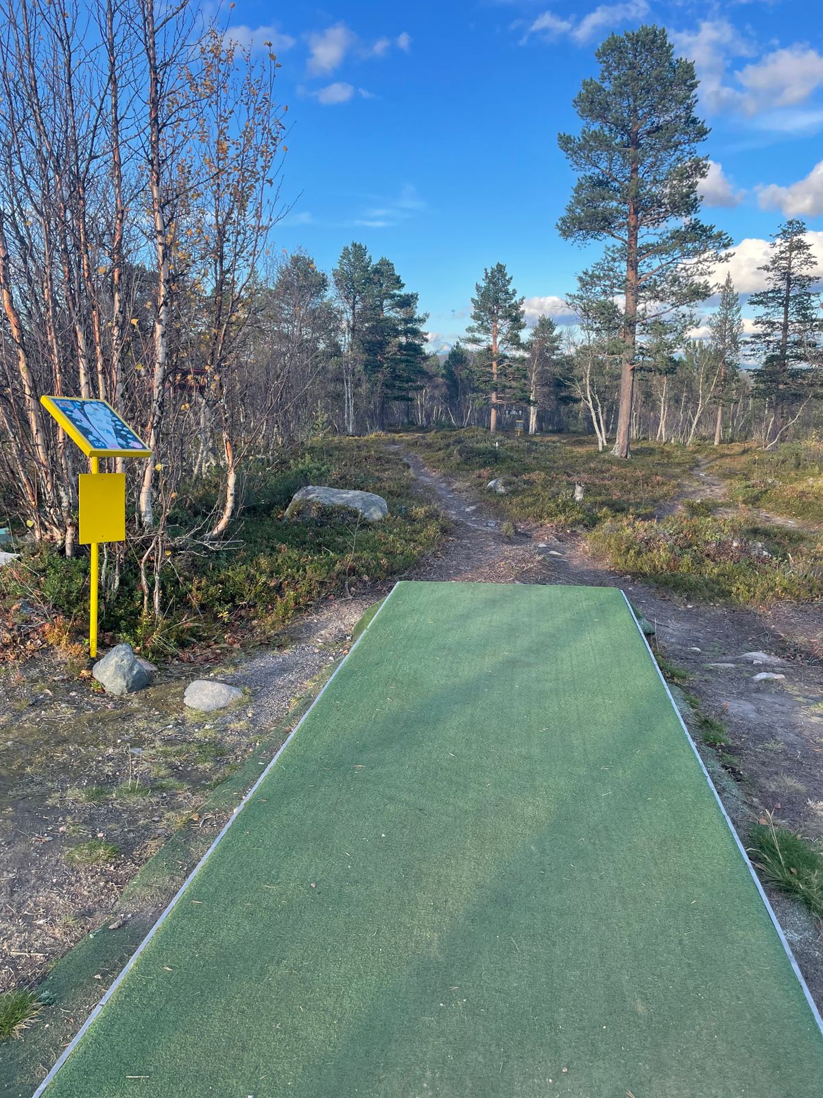 Hole 11