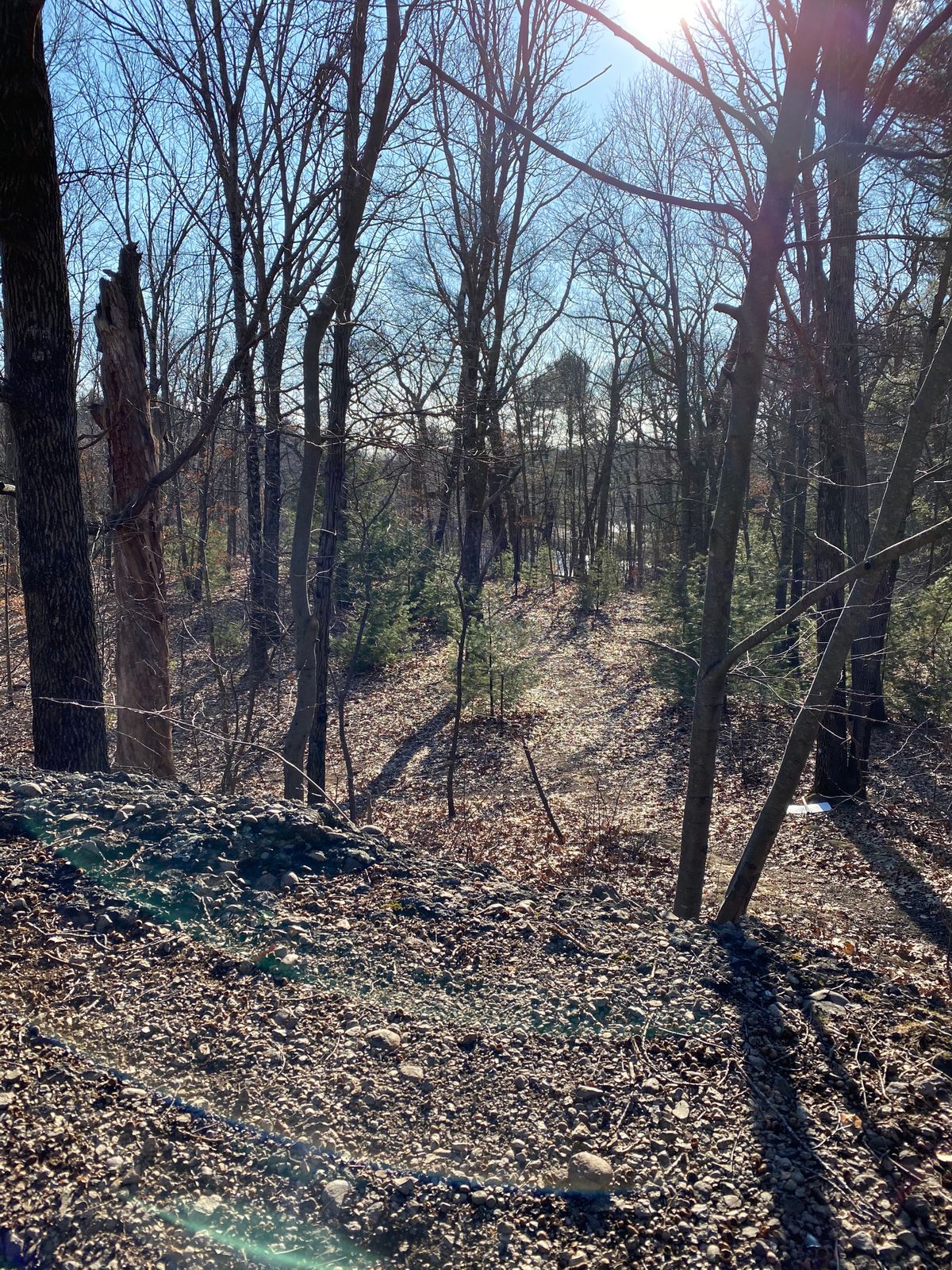 Hole 9, with elevated rock teepad