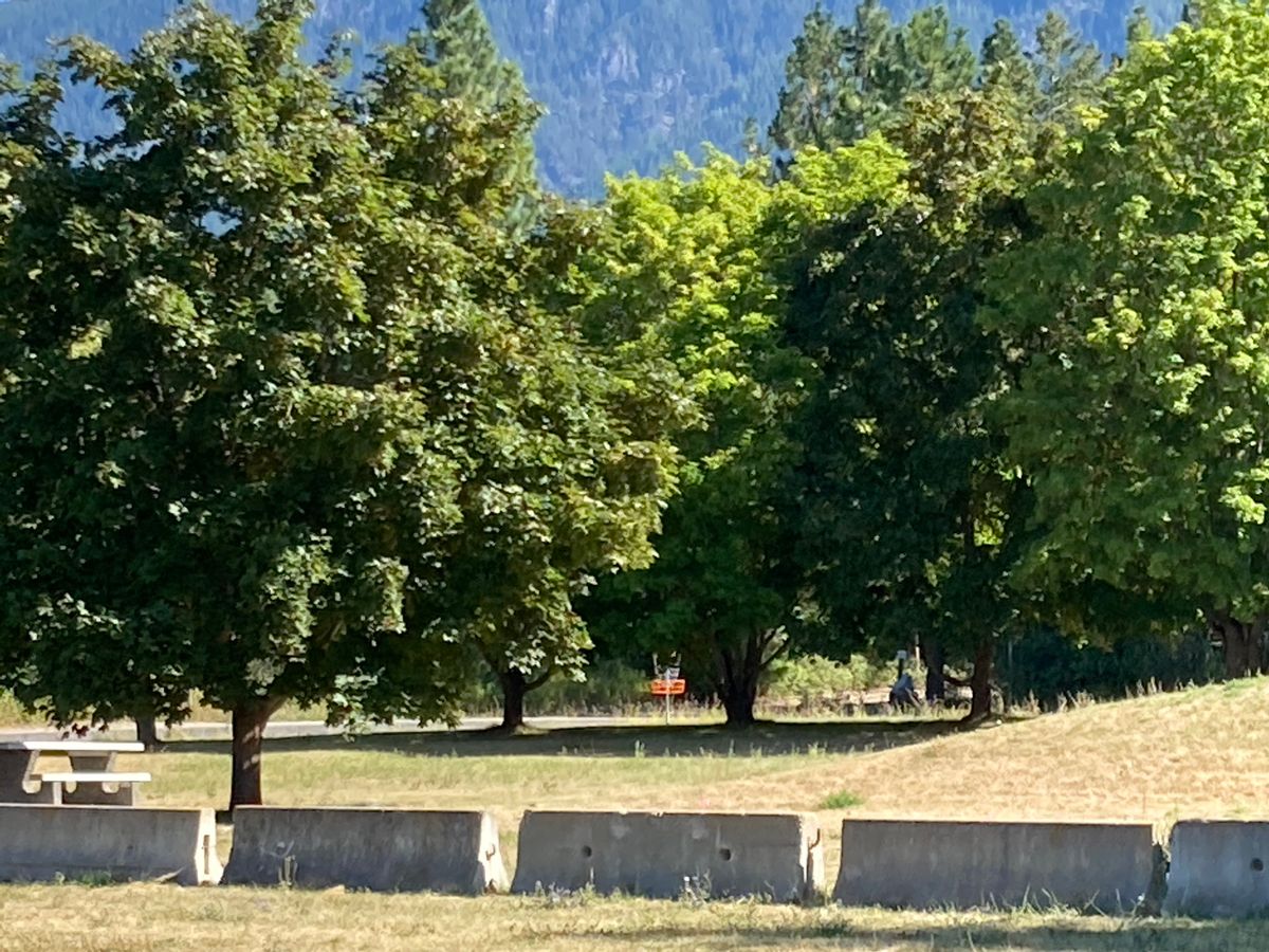 Hole 9 basket