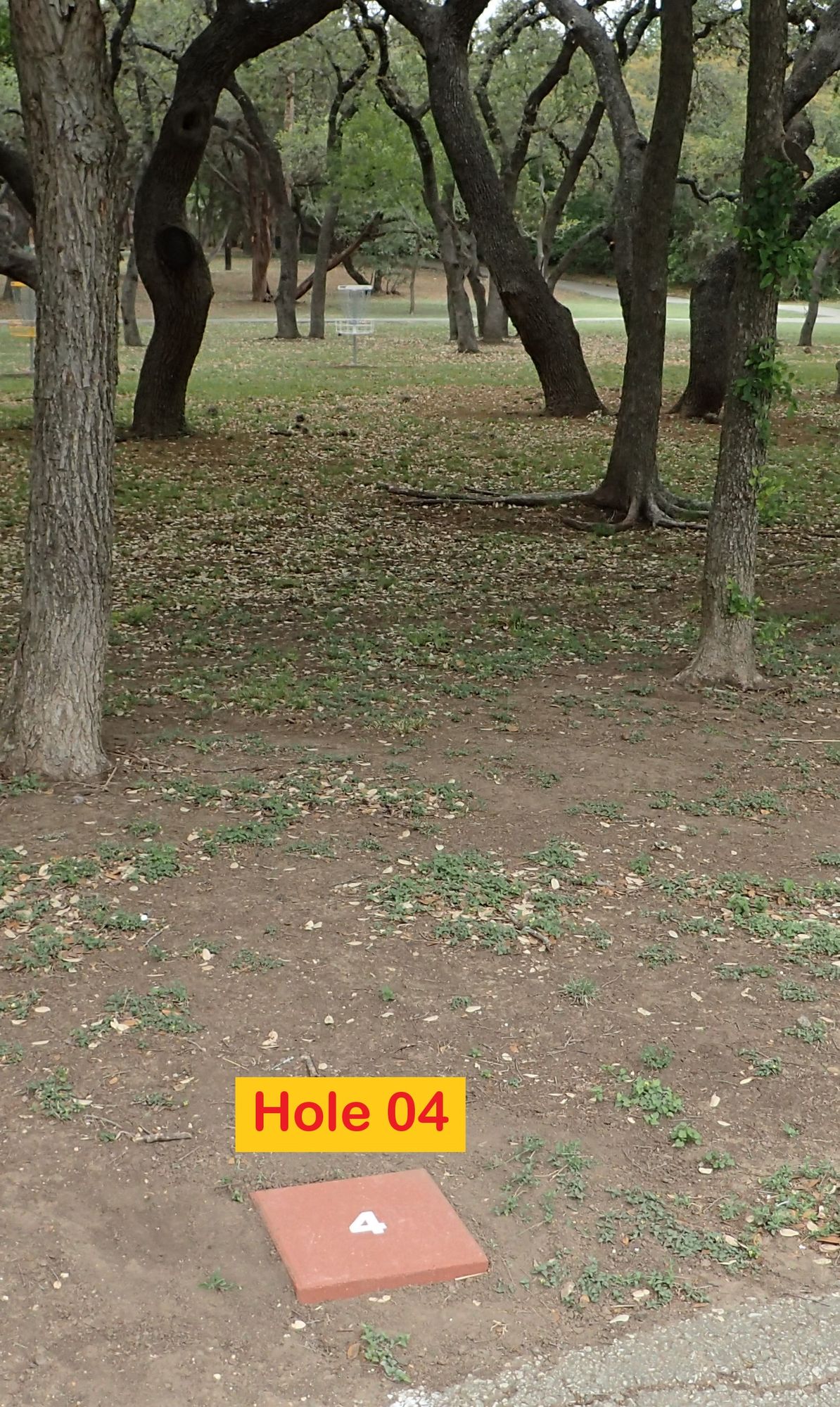Hole 04