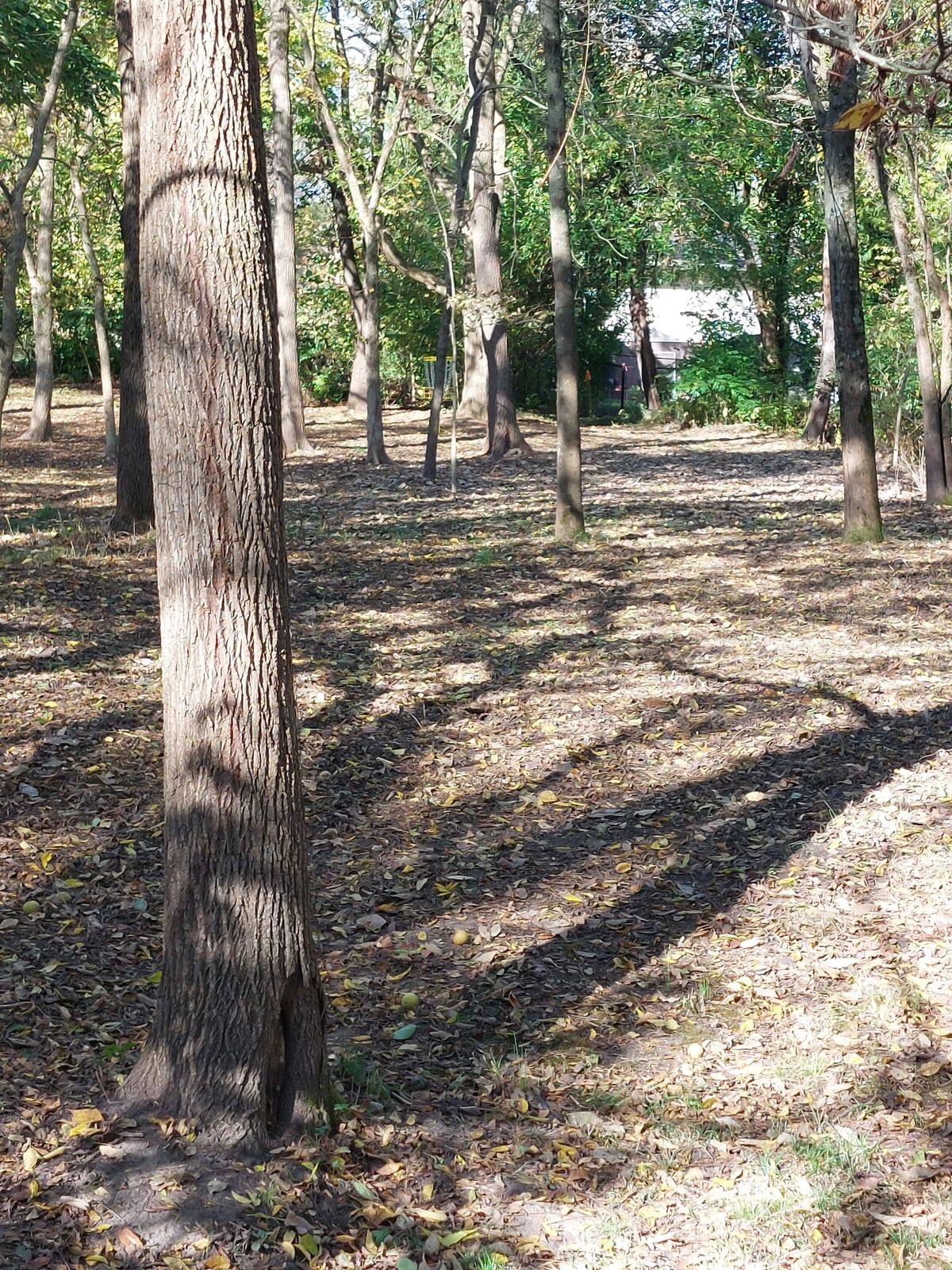 #3. Ditch to the right.