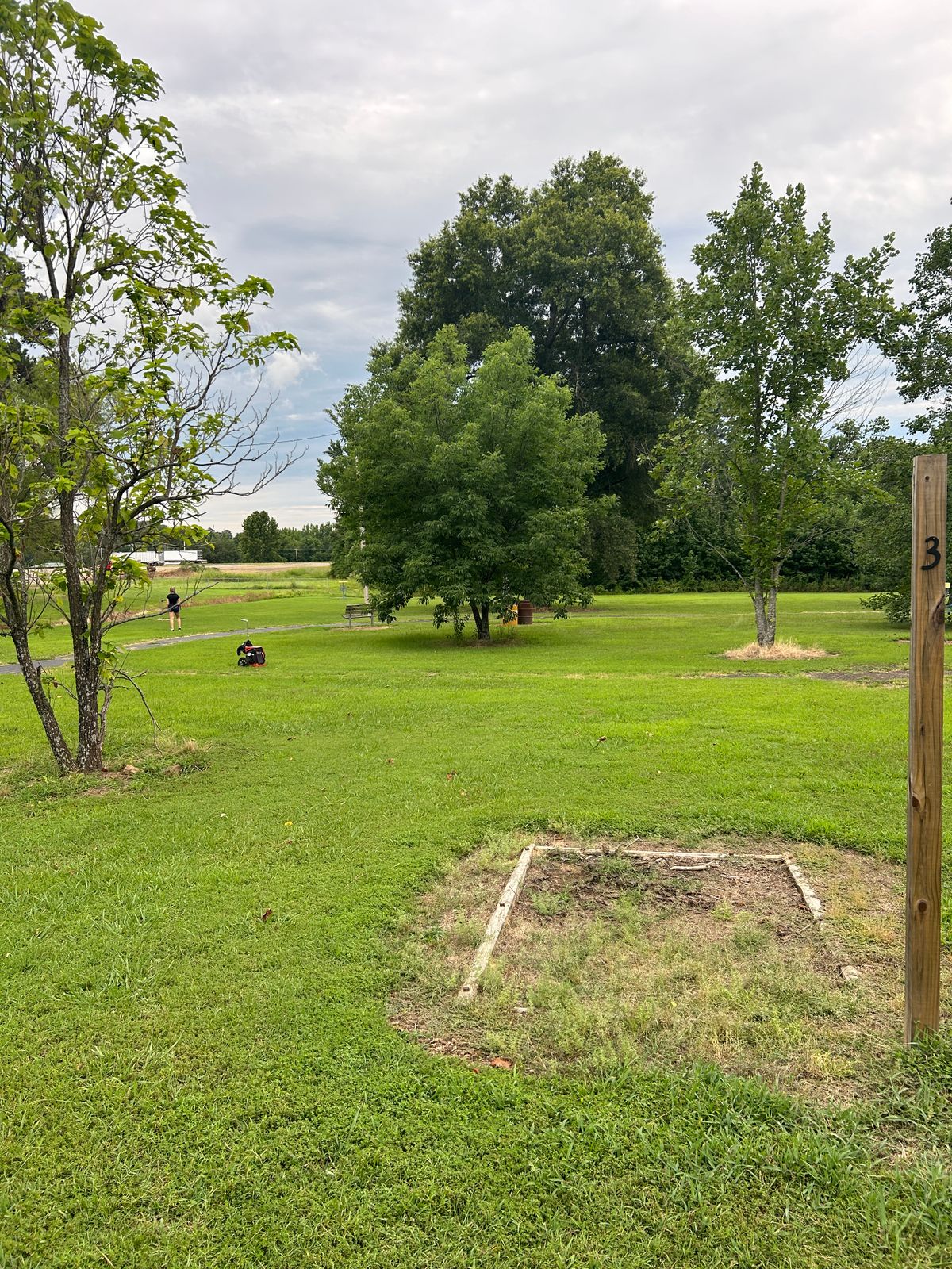 Hole 3 around bushy tree, basket pushed back towards the ditch