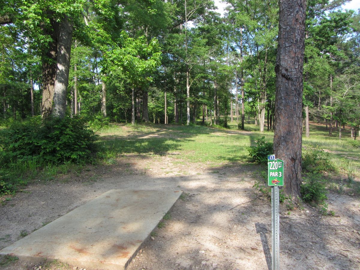 Hole 13