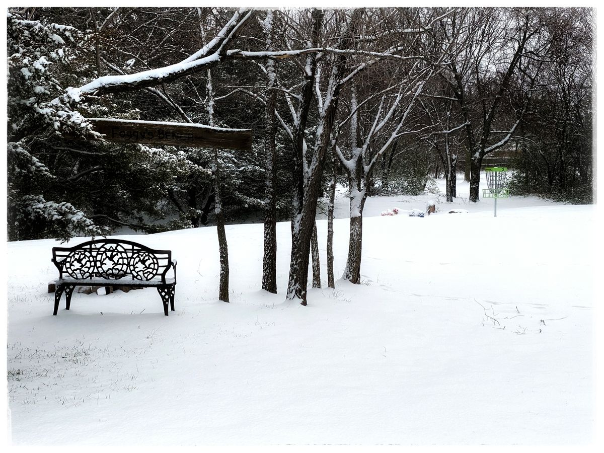 #3 from Foggy’s Bench
