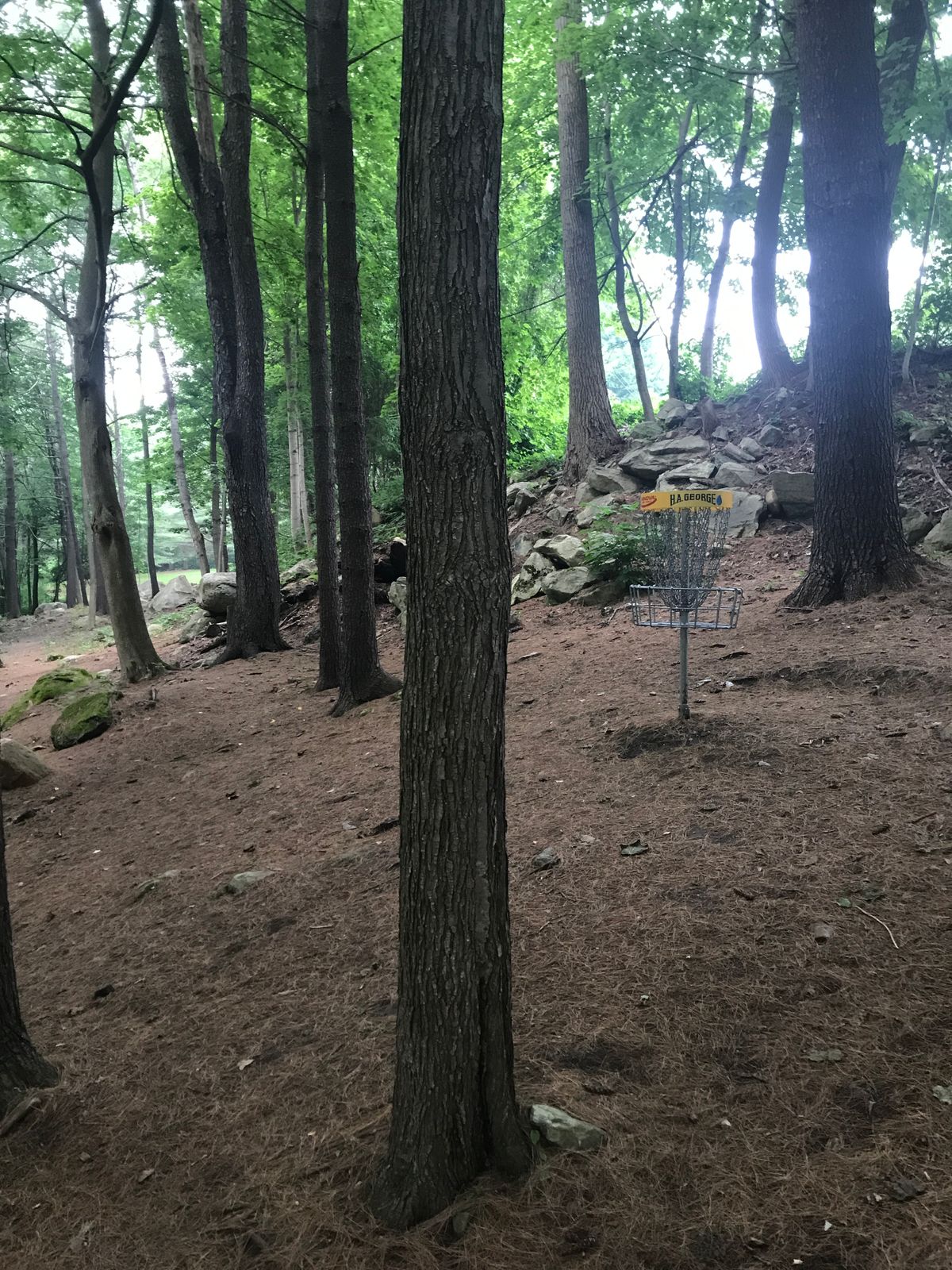 Hole 2 pin