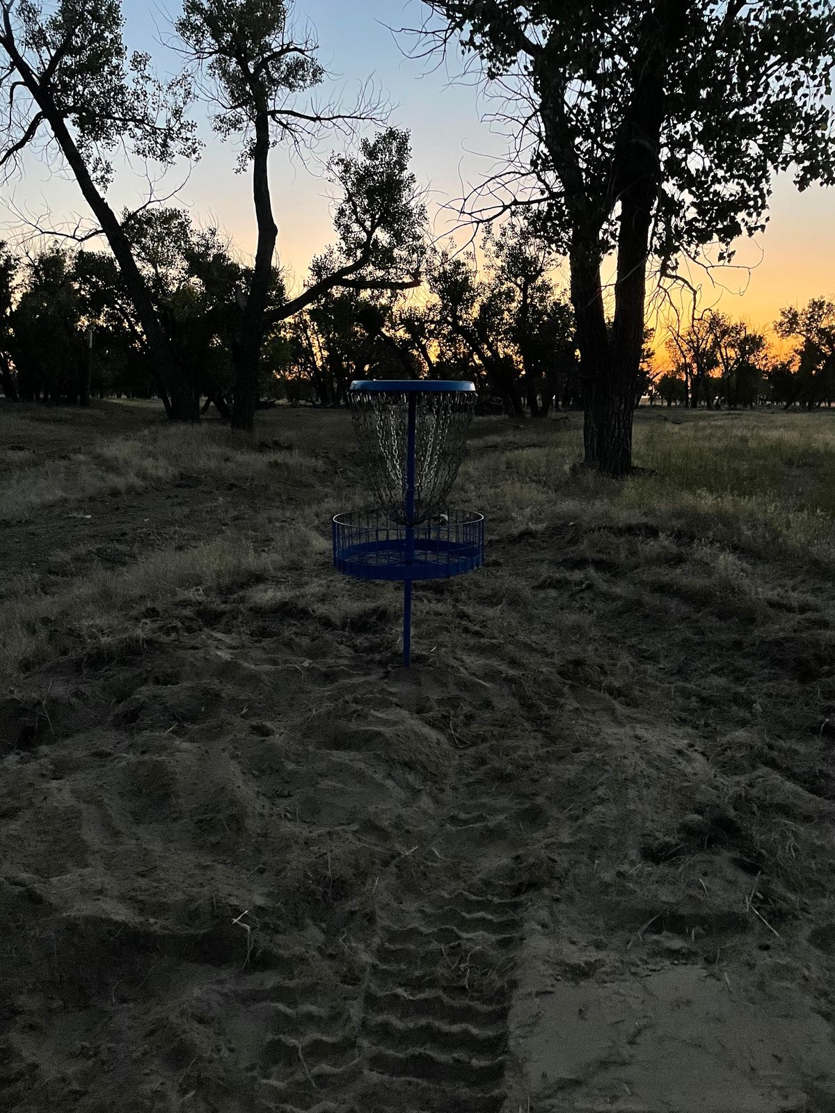 Hole 4 basket