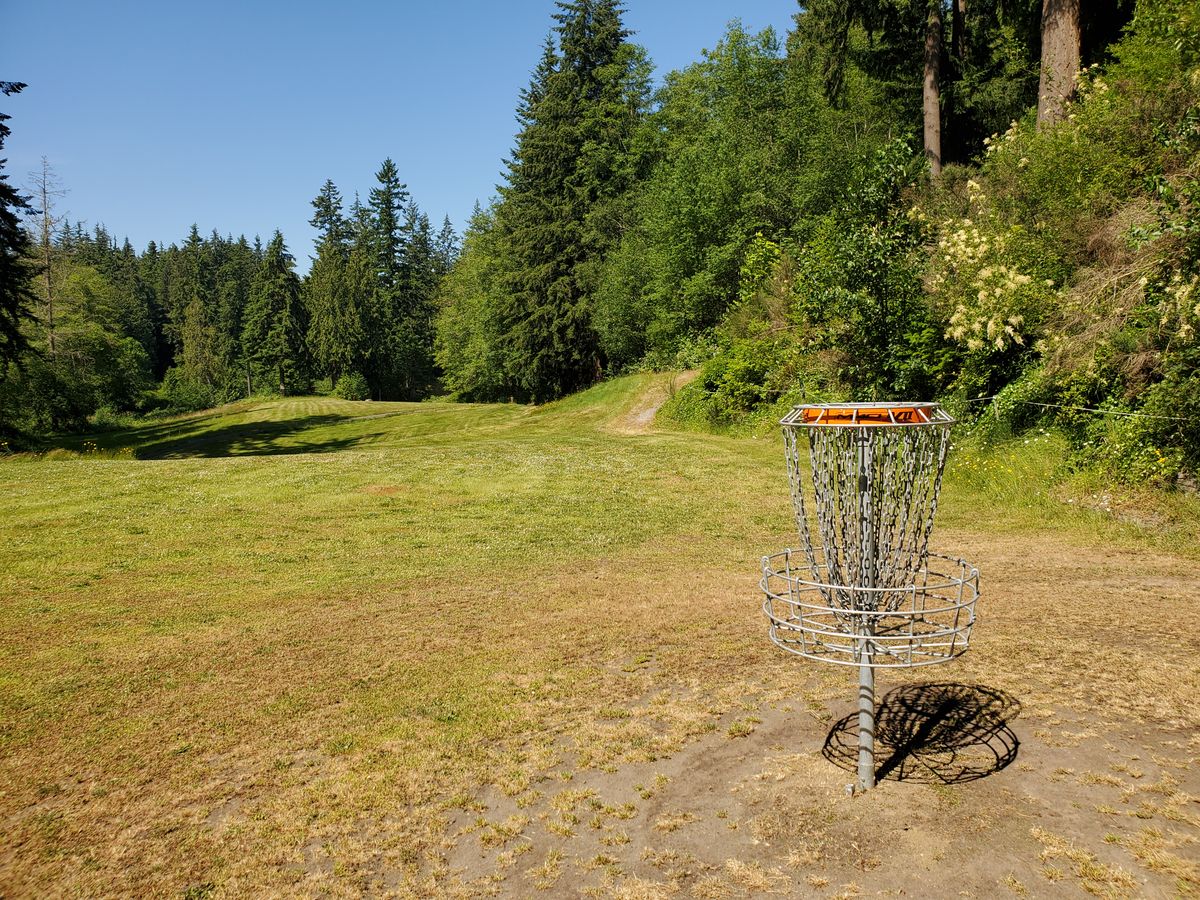 Green for Hole 5