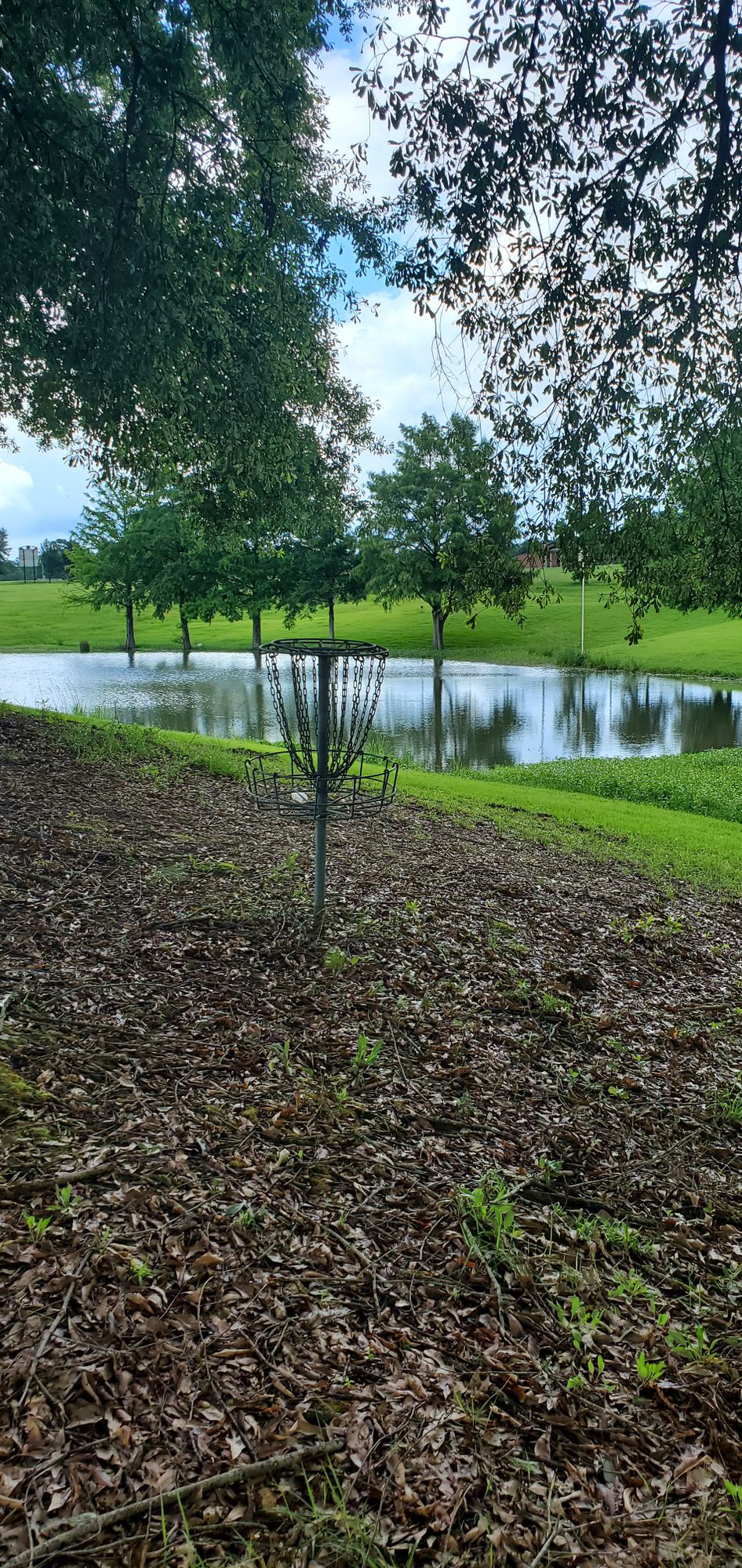 Hole #11