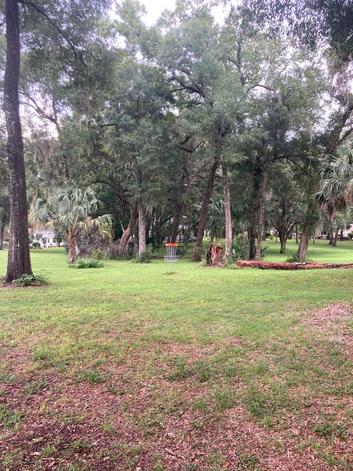 Hole 4 Basket
