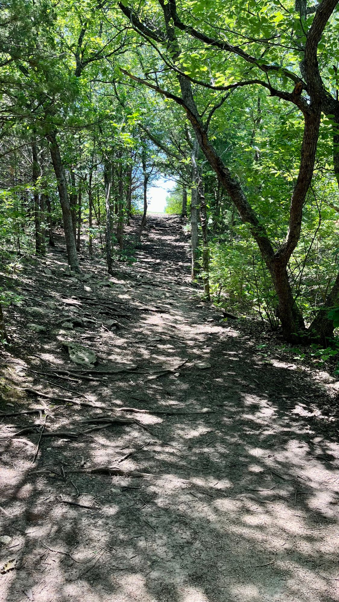 Warner Park