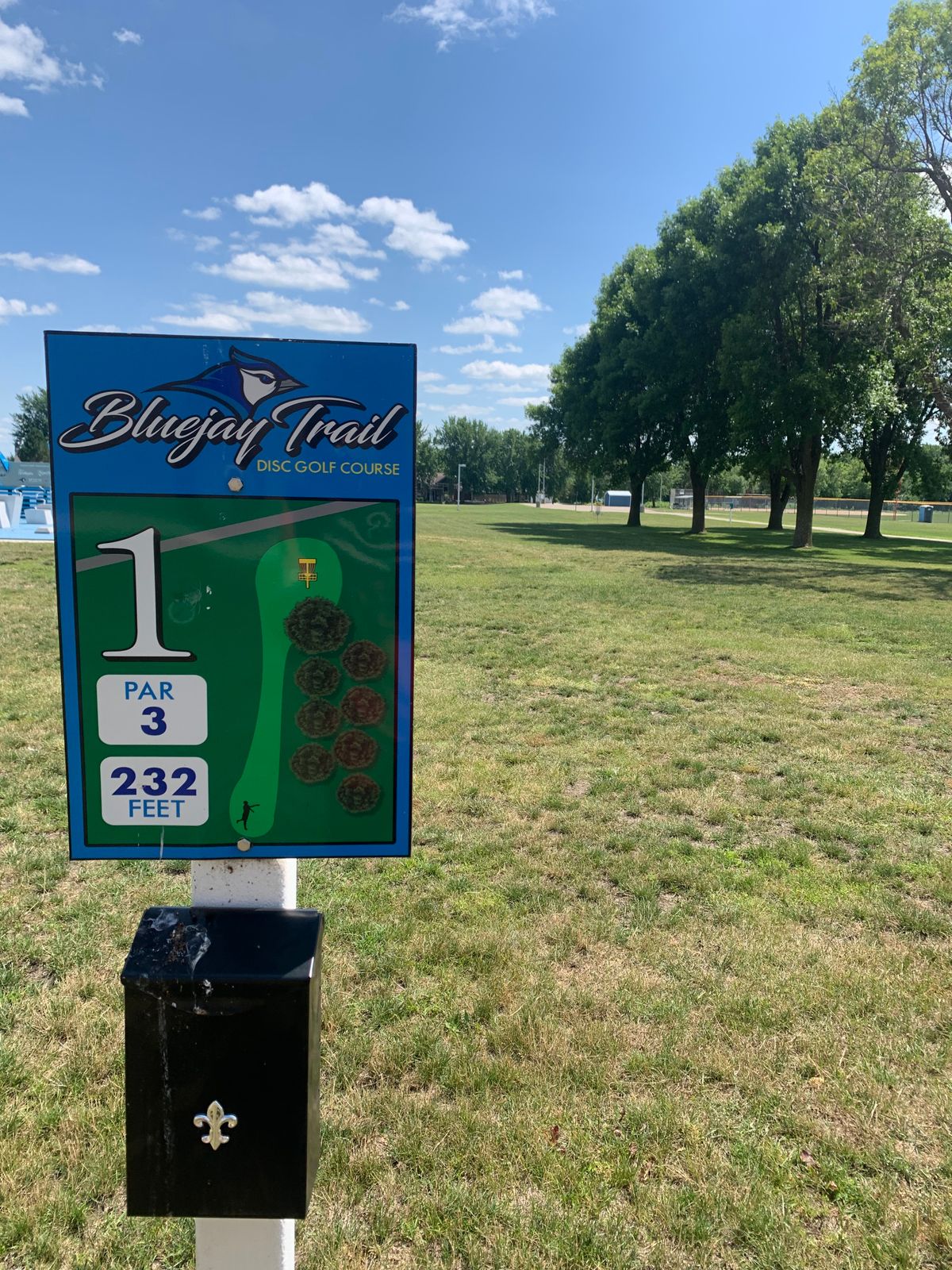 Hole 1 tee. Basket behind the trees on the right.