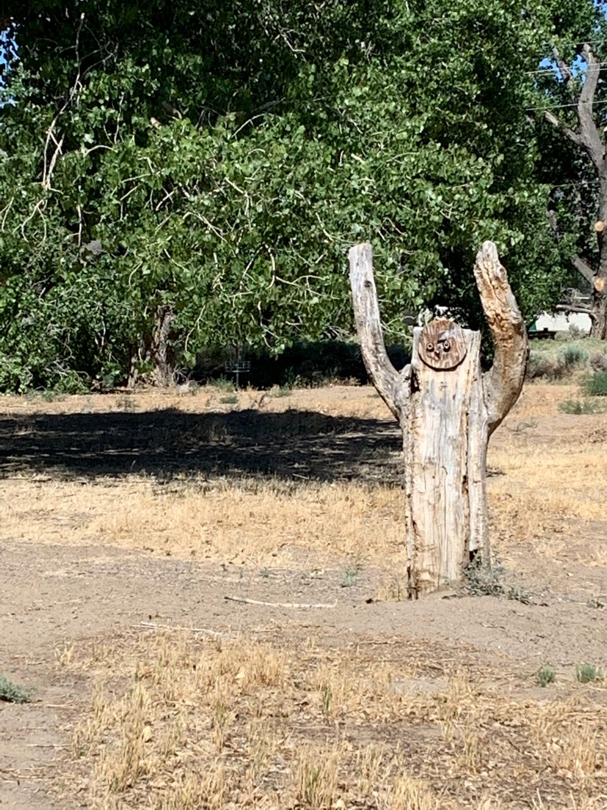 Field Goal Man!